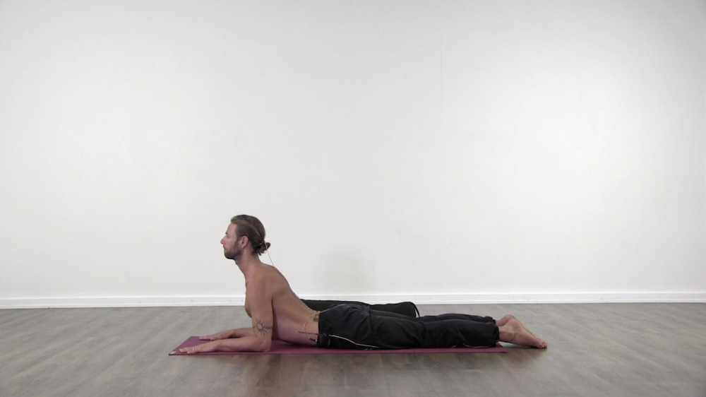 Asana Based Hatha Class_0