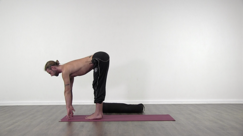 Asana Based Hatha Class_1