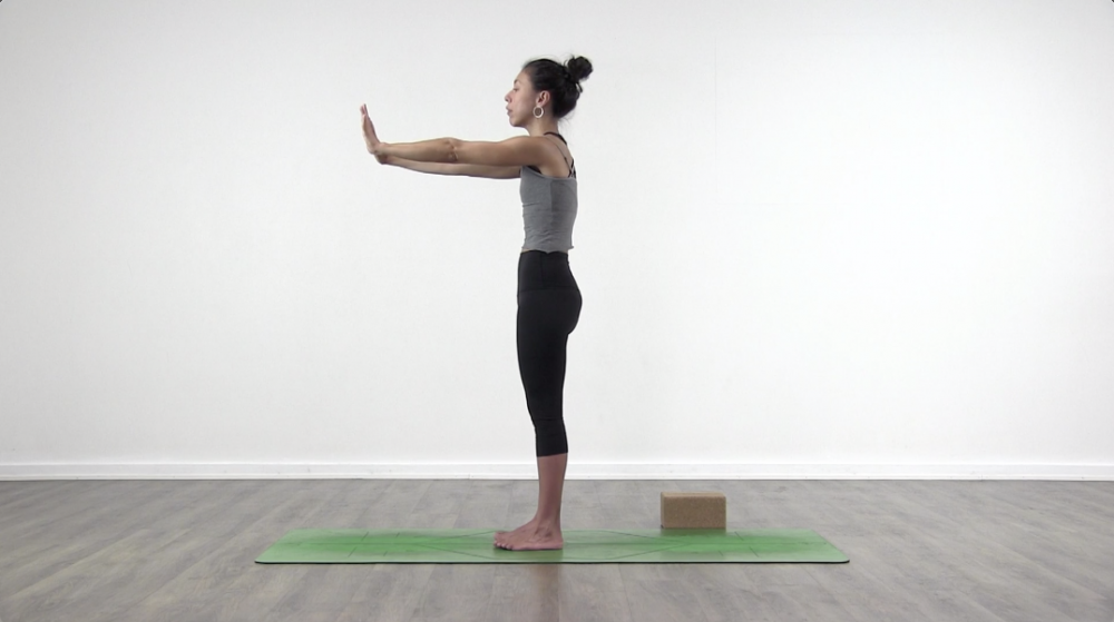Plank Tutorial_1