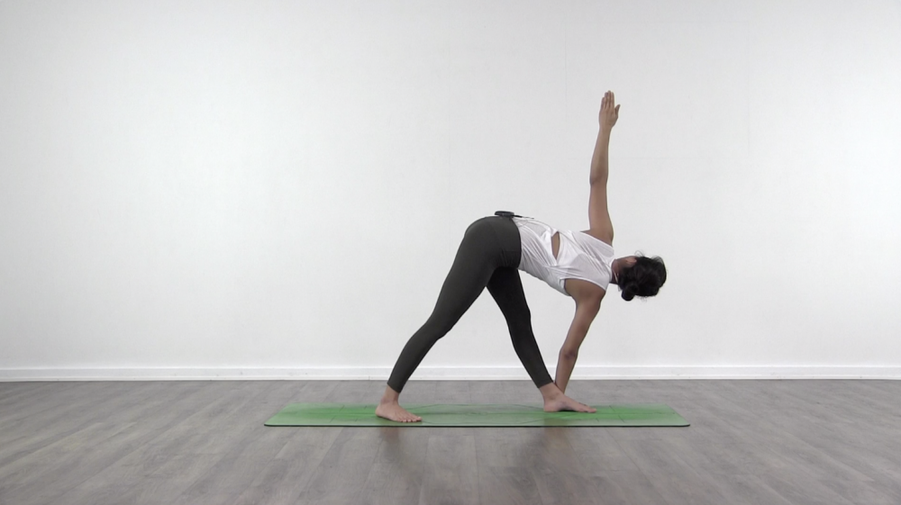 Sun Salutation B_1