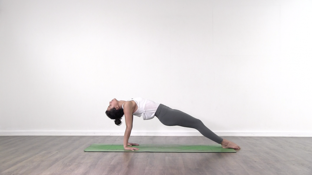 The Last Part Of the Seated Postures_0