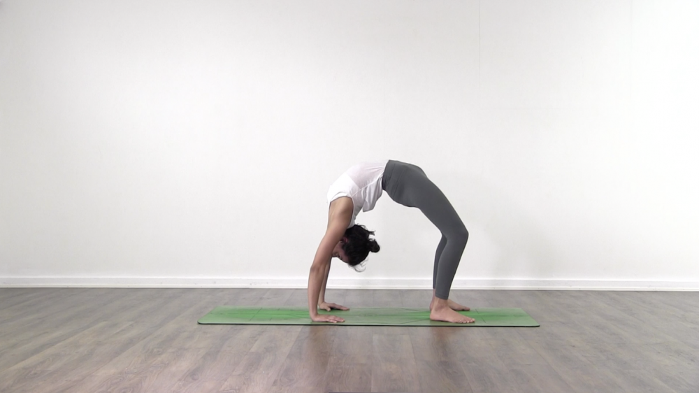 Key Postures in Primary Series_2