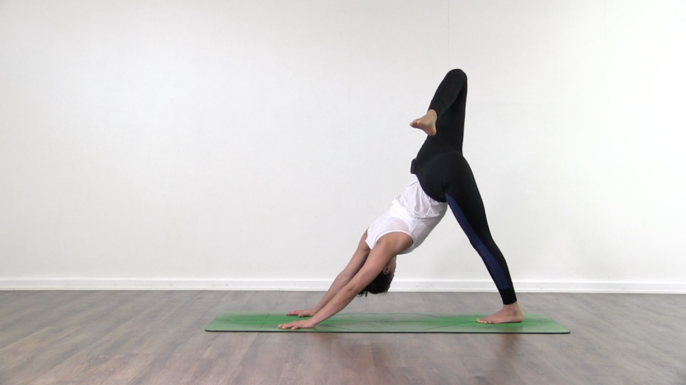 Low Lunge Class_1