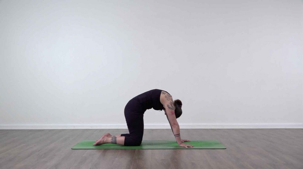 Six Movements of The Spine_2