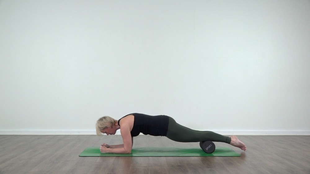 Foam Roller Workout_0