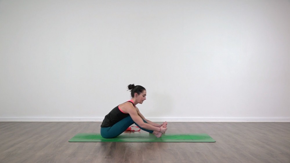 Dandasana y Paschimottanasana_1
