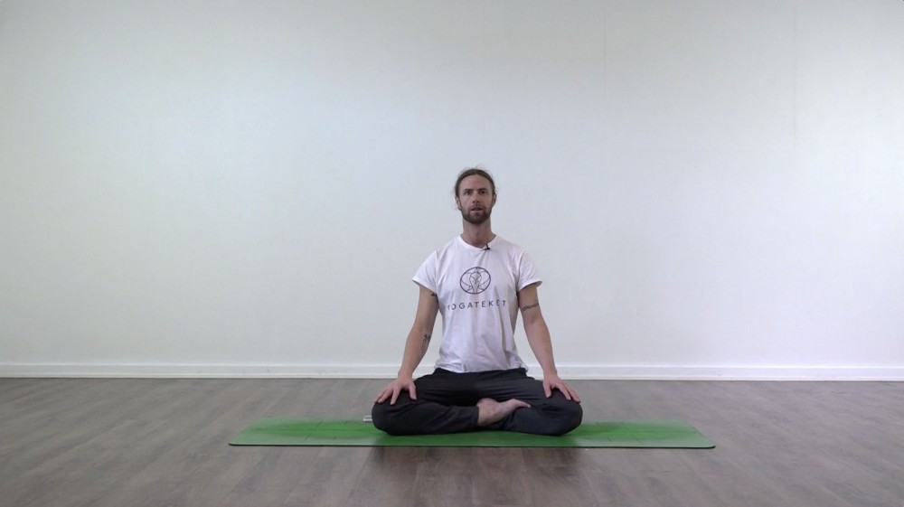 Bramhari Pranayama Class_0