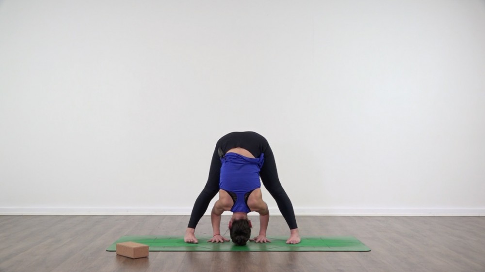 Prasarita Padottanasana A, B, C y D_0