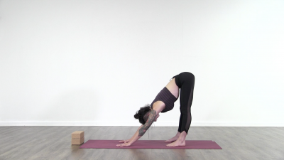 Yogi is practising yoga on a burgundy coloured yoga mat on white background