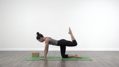 Yoga challenge strength yoga Lizette pompa