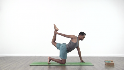 vinay jesta yoga five elements
