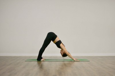 down dog yoga
